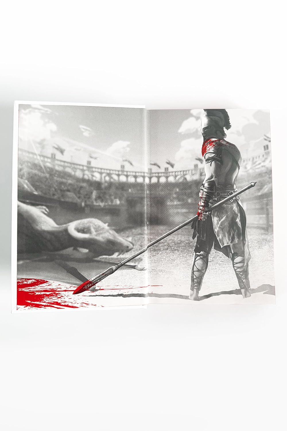 BLOODGUARD - CECY ROBSON