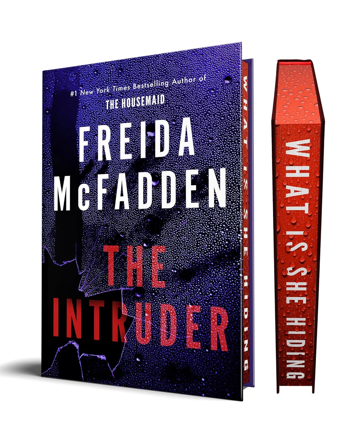 The Intruder - FREIDA MCFADDEN